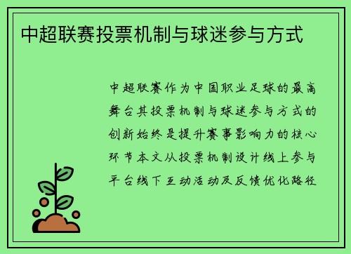 中超联赛投票机制与球迷参与方式